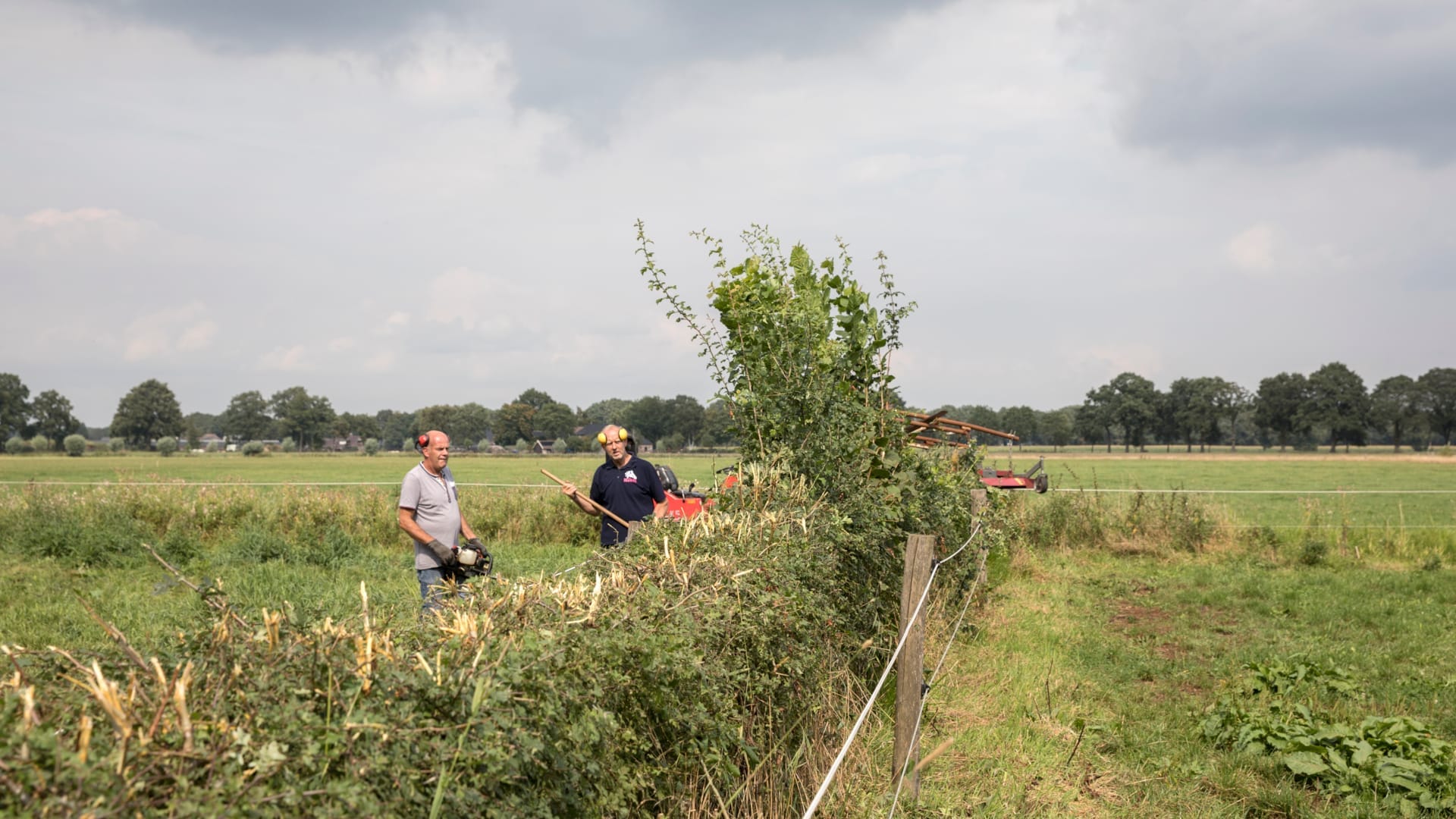 Streekeigen landschapsbeheer